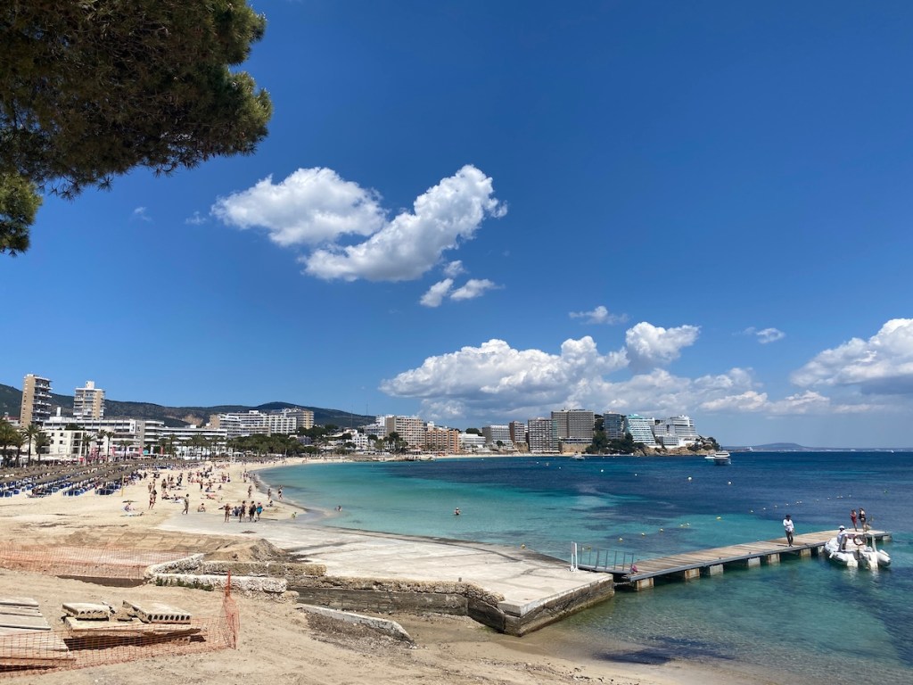 またしても、息子に教えられる